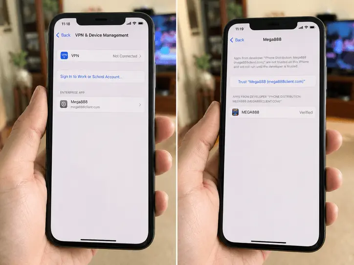 Screenshot showing how to Trust the profile in iOS settings